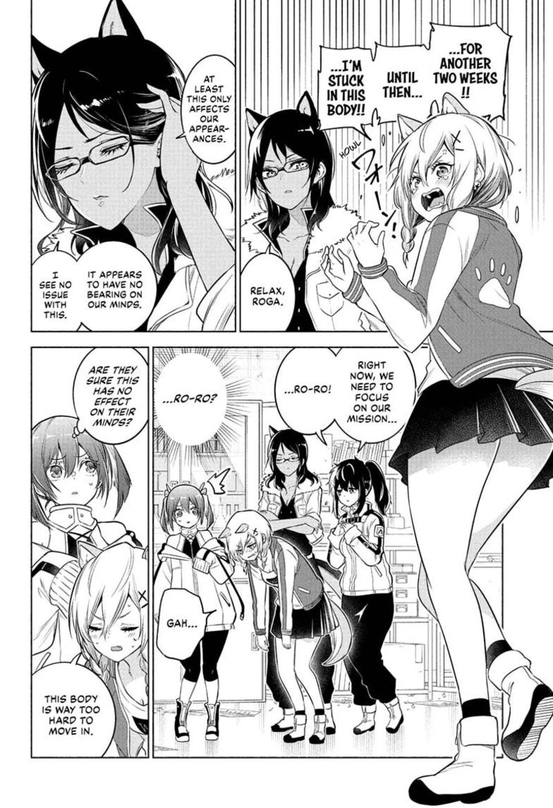 Animal Signal 16 4