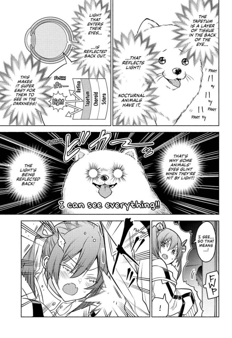 Animal Signal 2 19