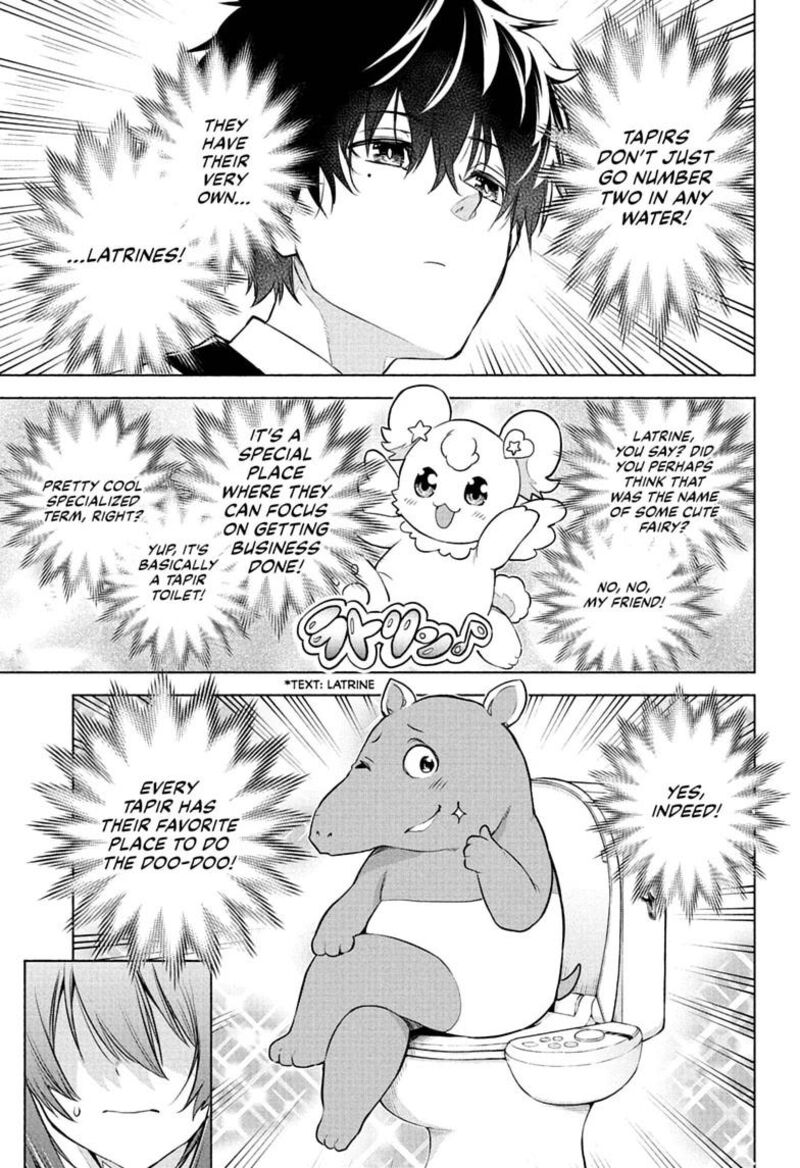 Animal Signal 3 13