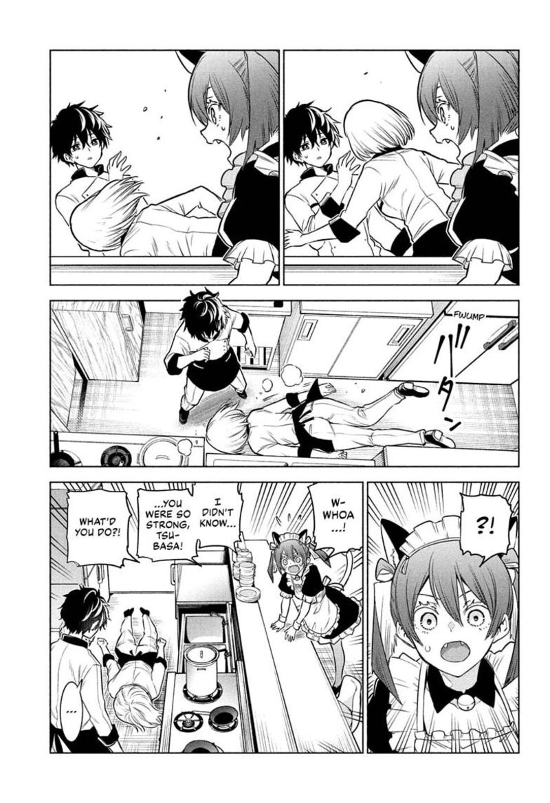 Animal Signal 4 17
