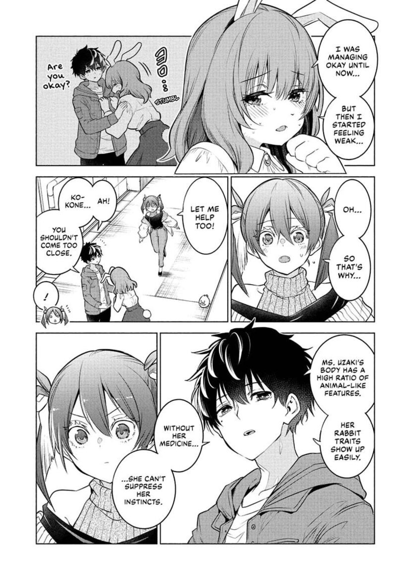 Animal Signal 5 7