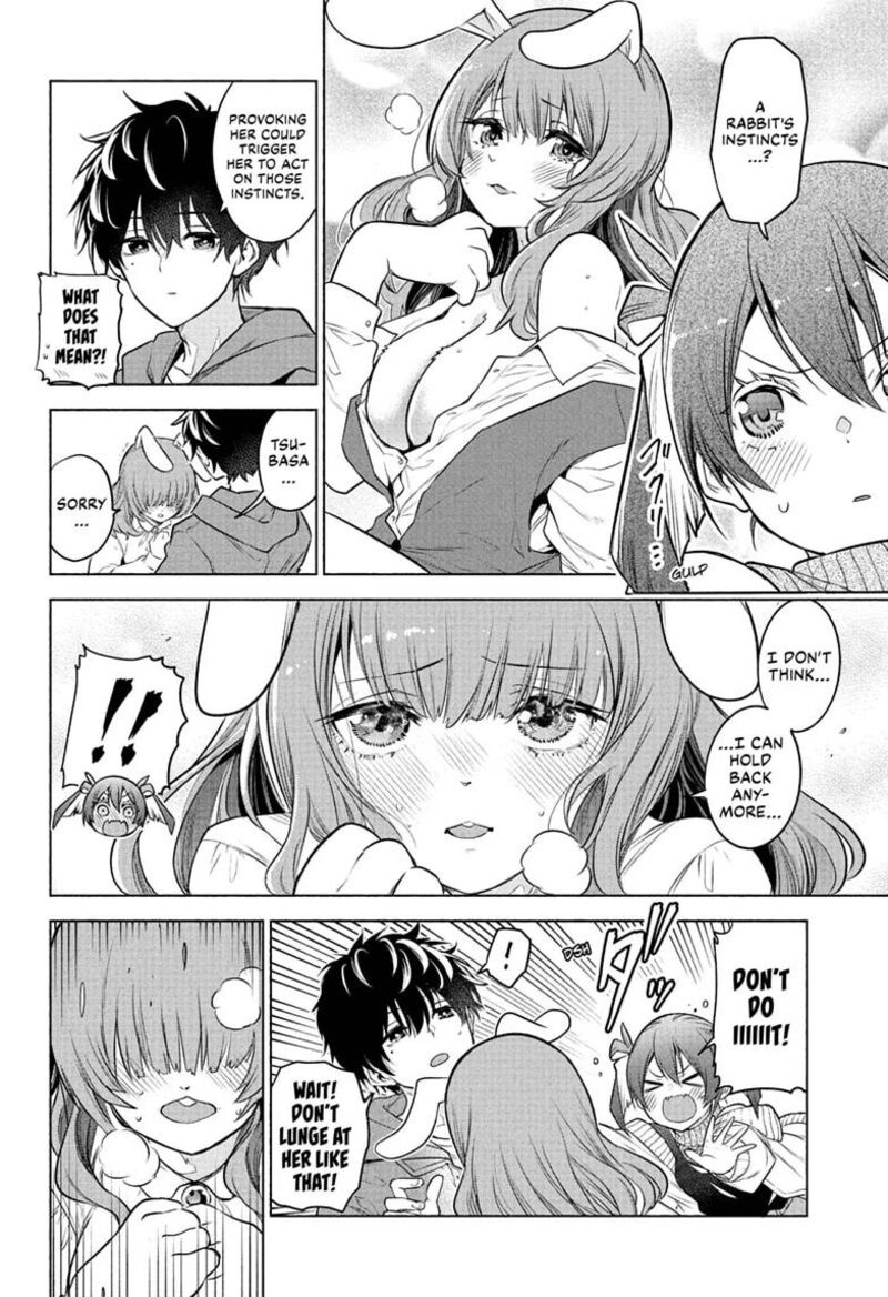 Animal Signal 5 8