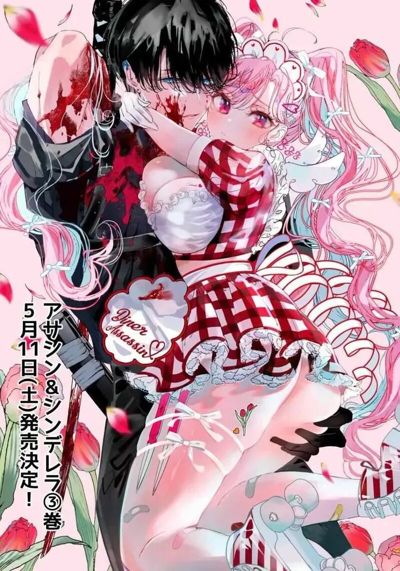 Assassin Cinderella 23c 3