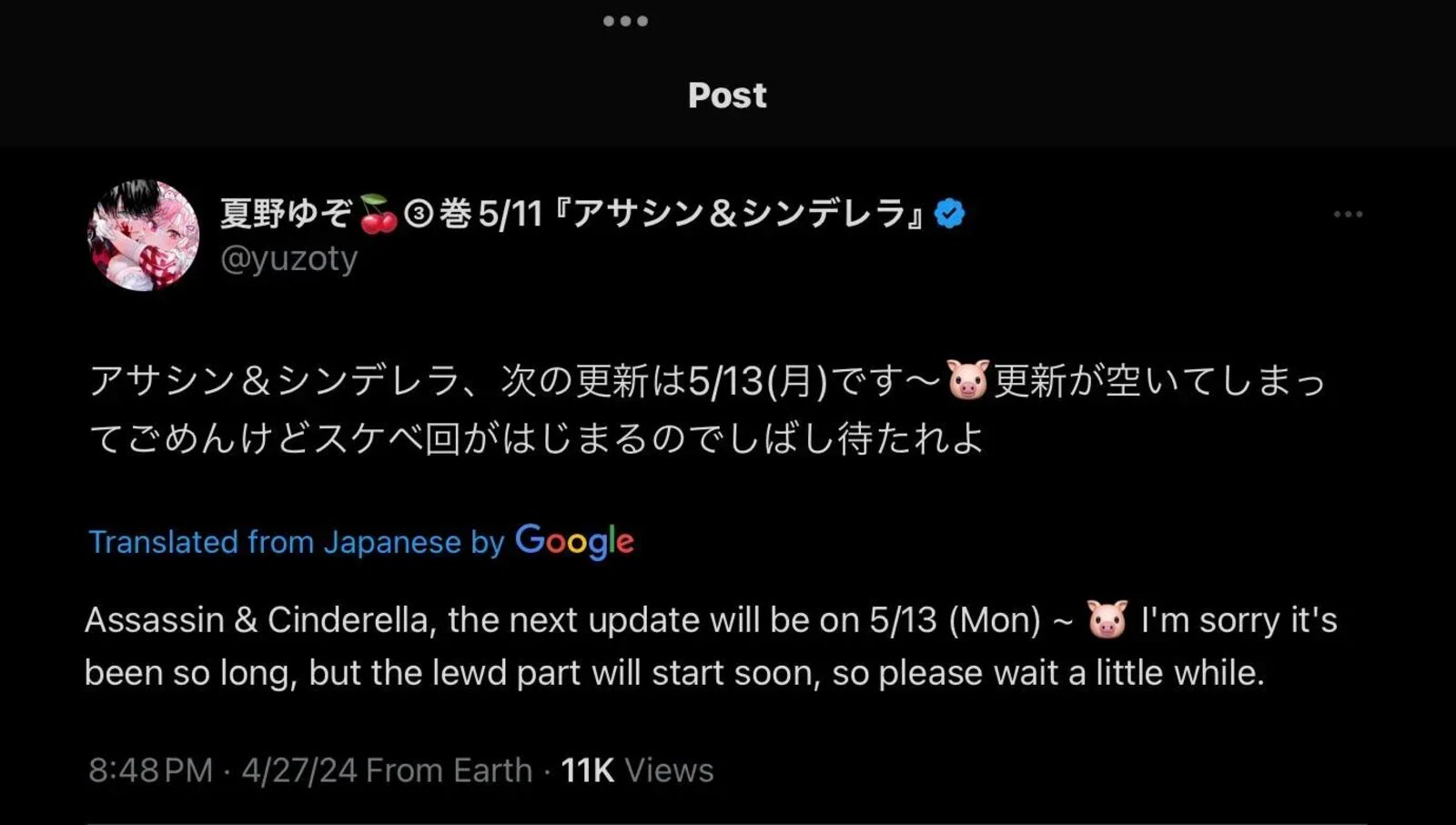 Assassin Cinderella 23d 1