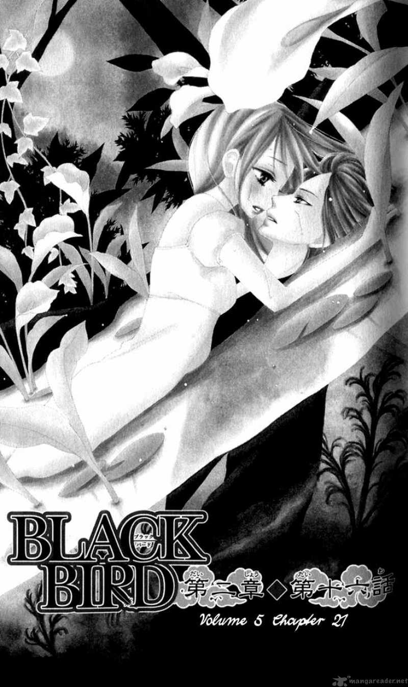 Black Bird 21 1