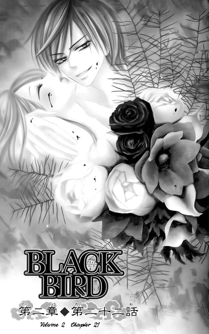 Black Bird 27 2