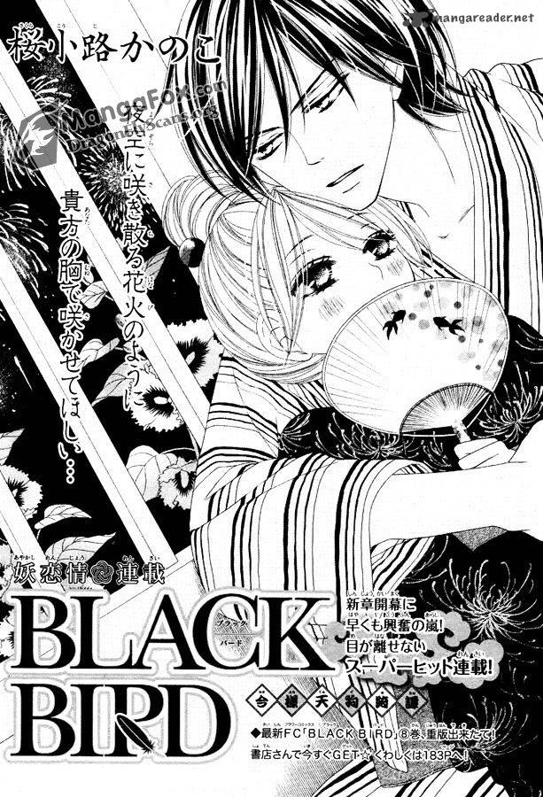 Black Bird 34 3