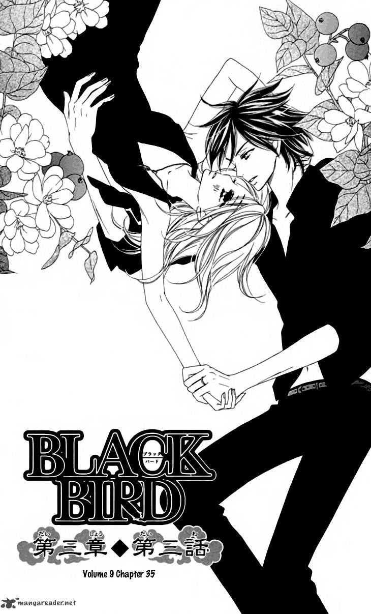 Black Bird 35 2