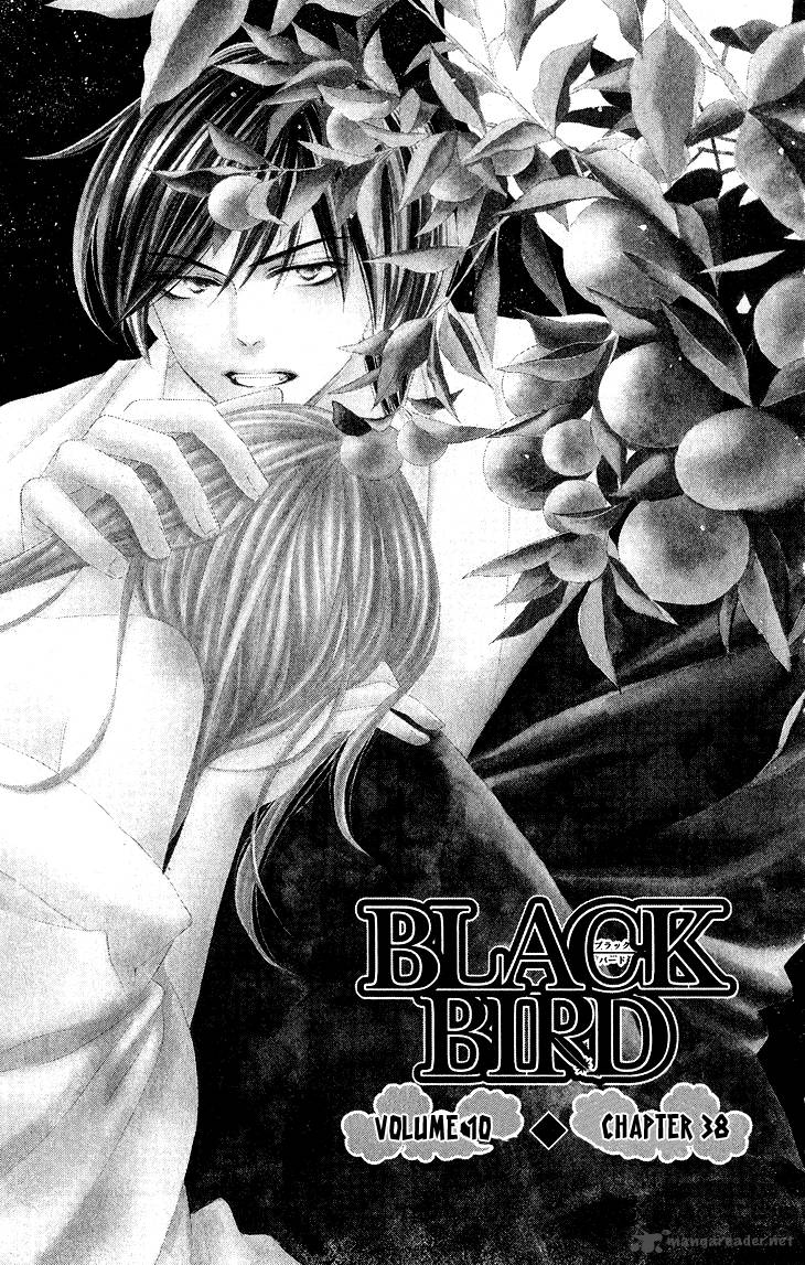 Black Bird 38 2