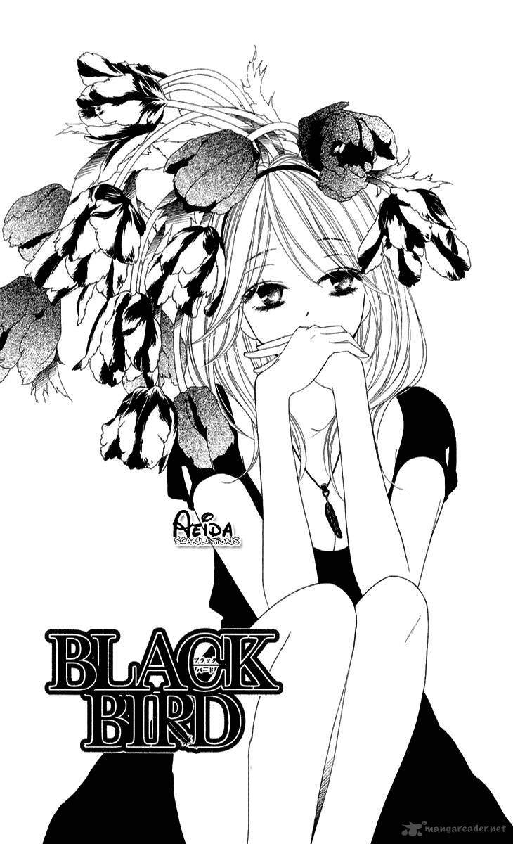 Black Bird 43 2