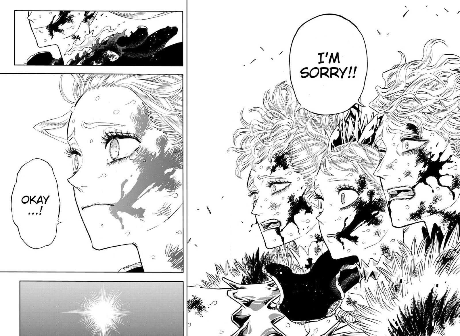 Black Clover 373 14