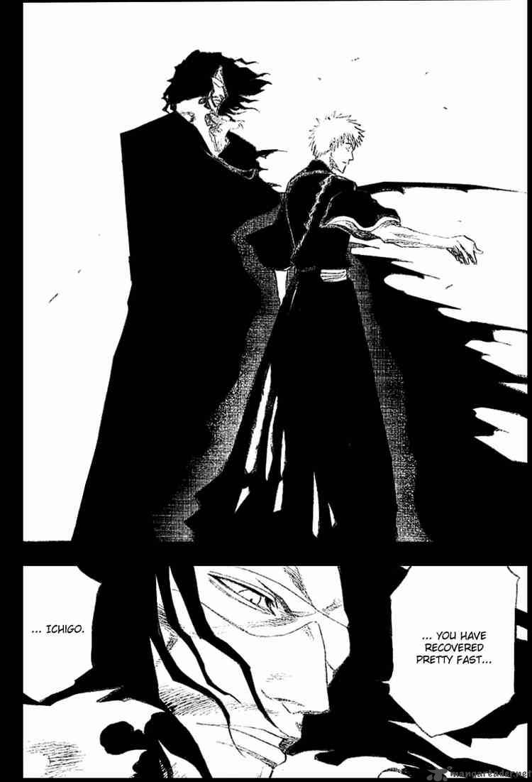 Bleach 127 8