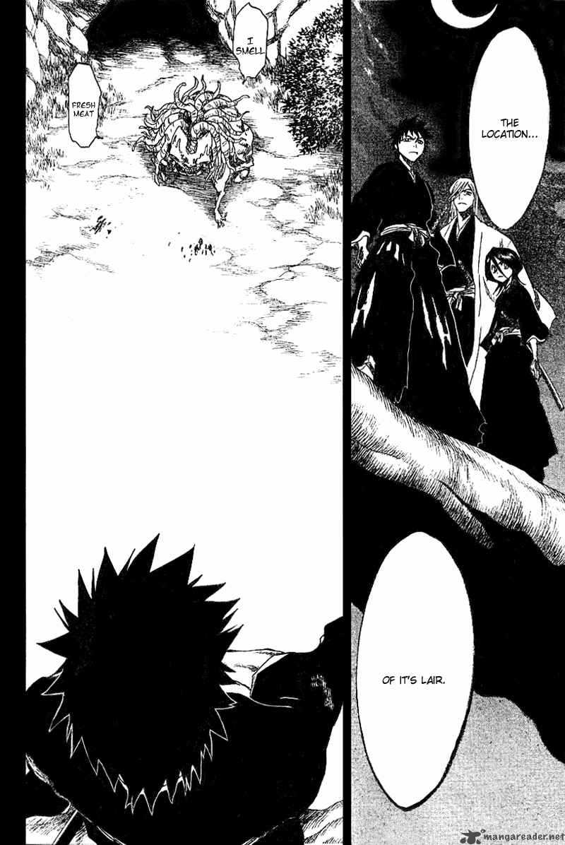 Bleach 134 19