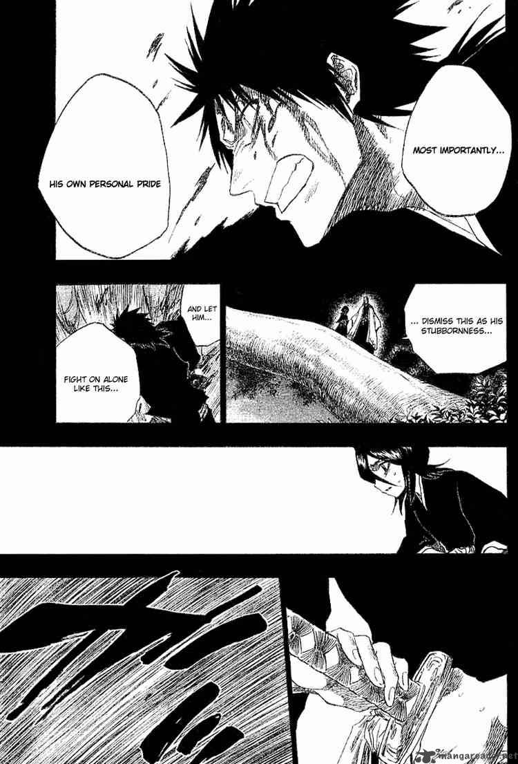 Bleach 135 15