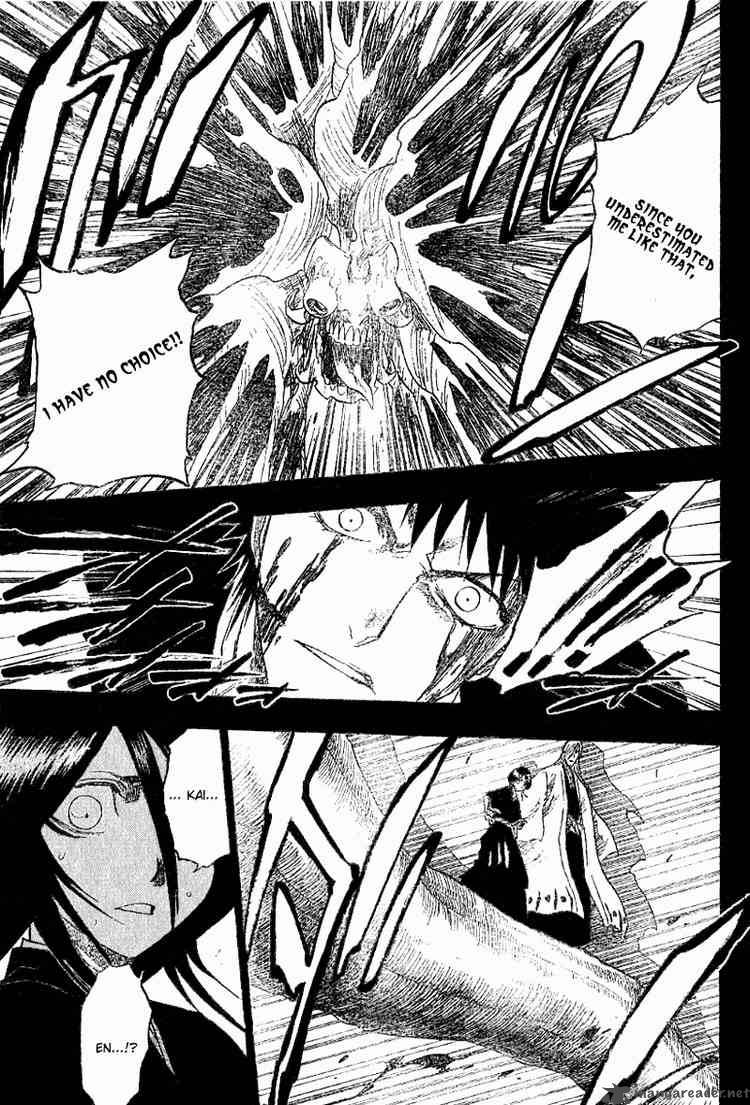 Bleach 135 17