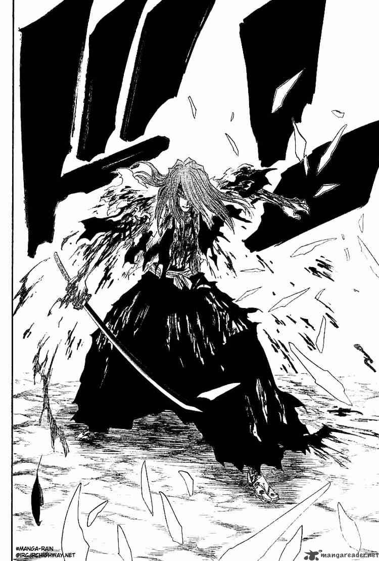 Bleach 143 19