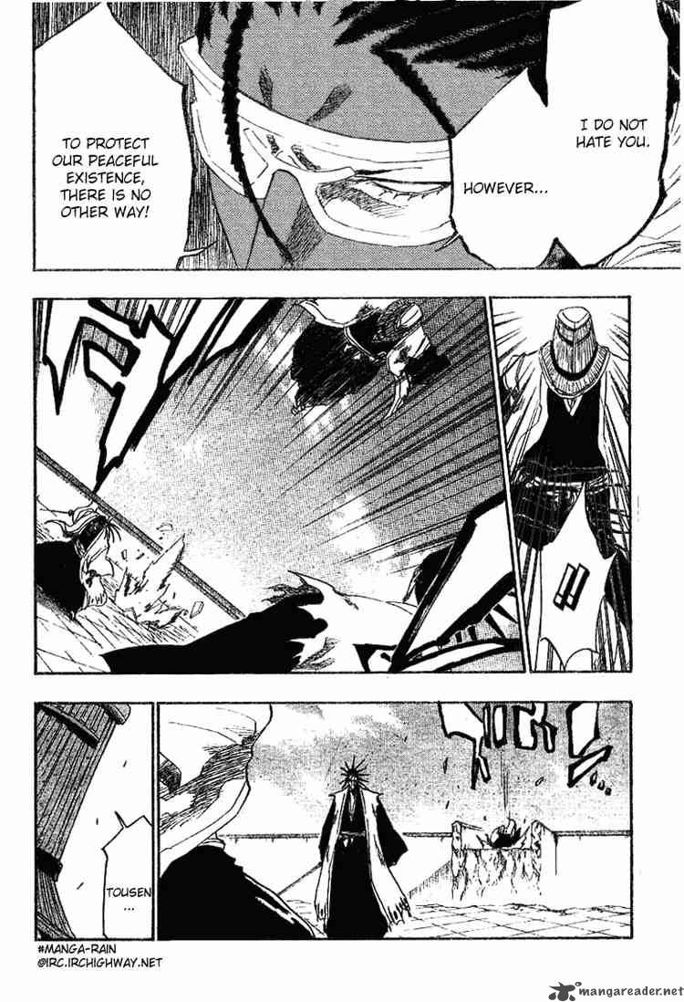 Bleach 146 6