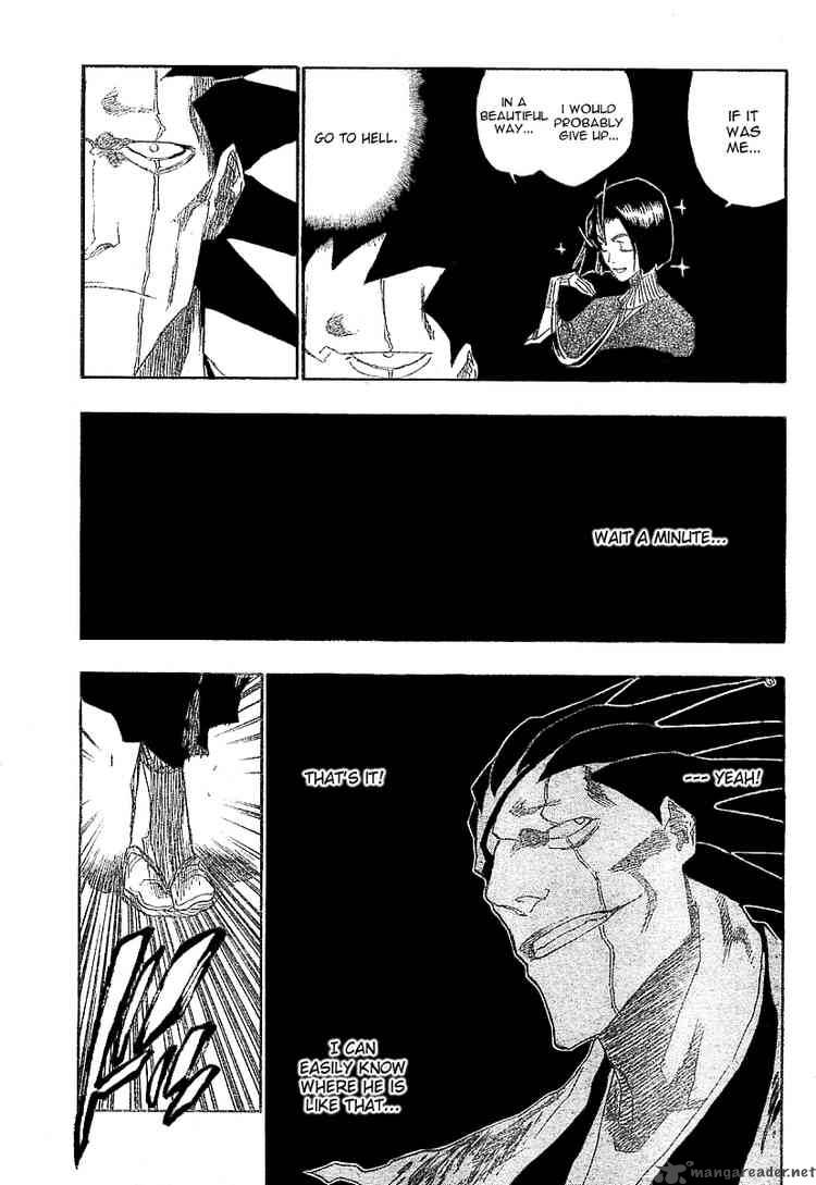 Bleach 147 15