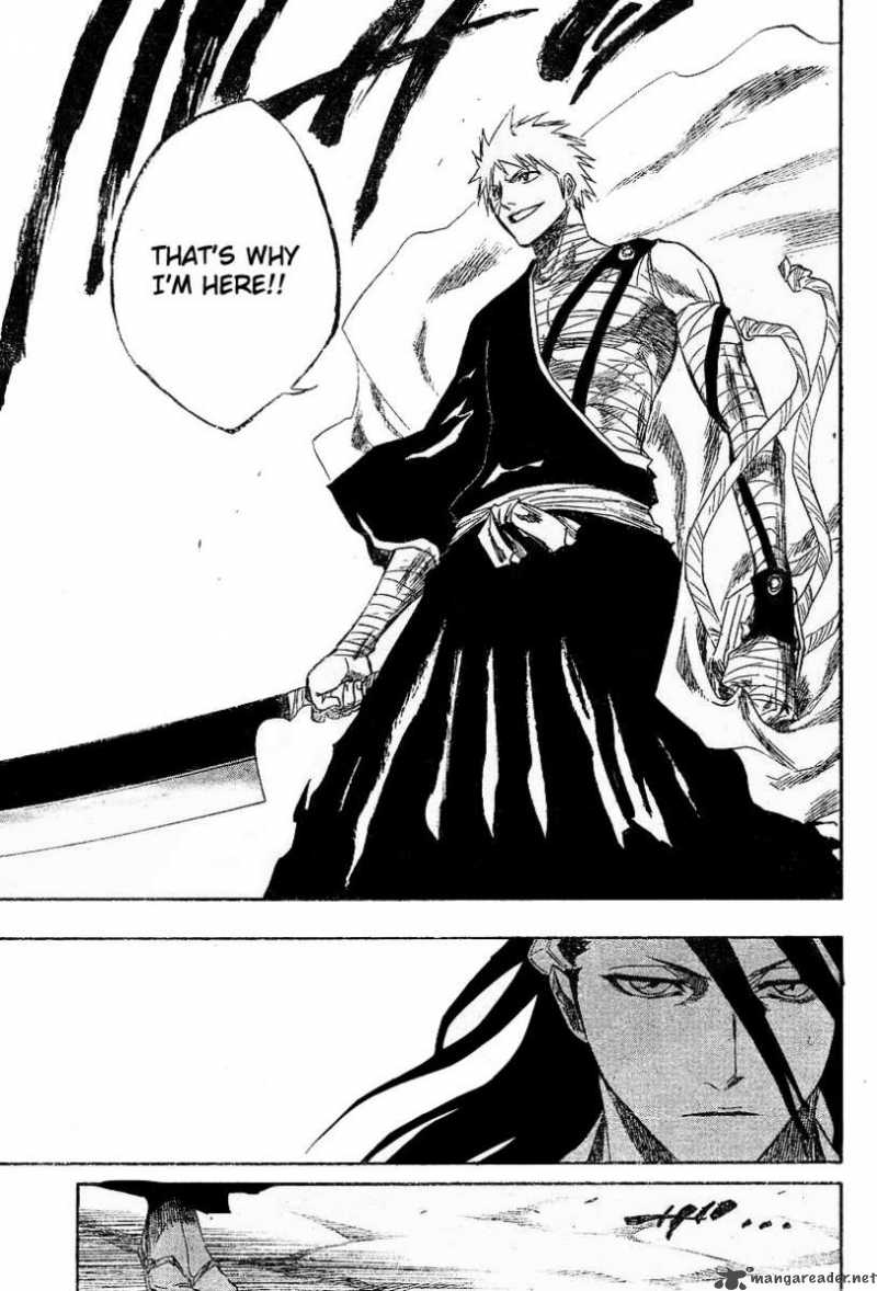 Bleach 153 7