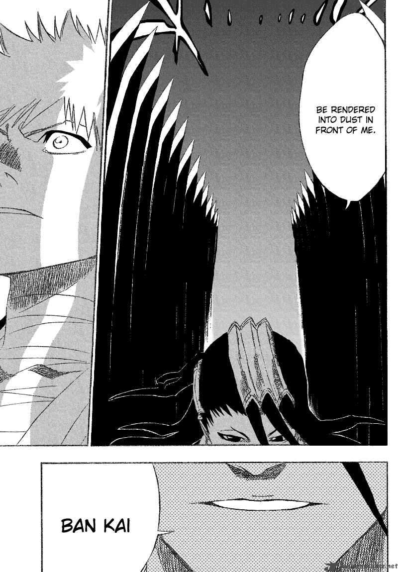 Bleach 161 13