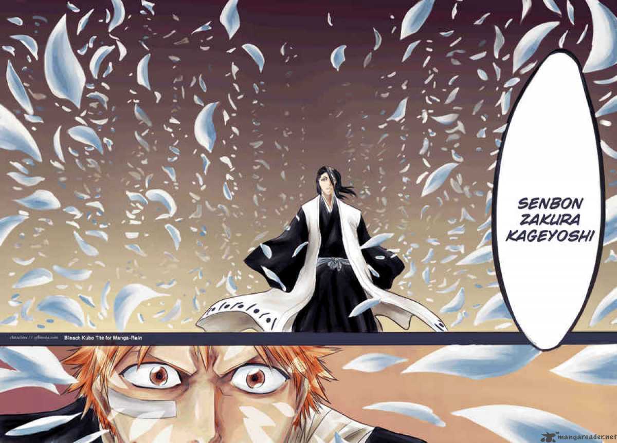 Bleach 161 14