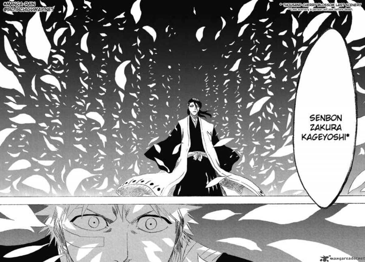 Bleach 161 15