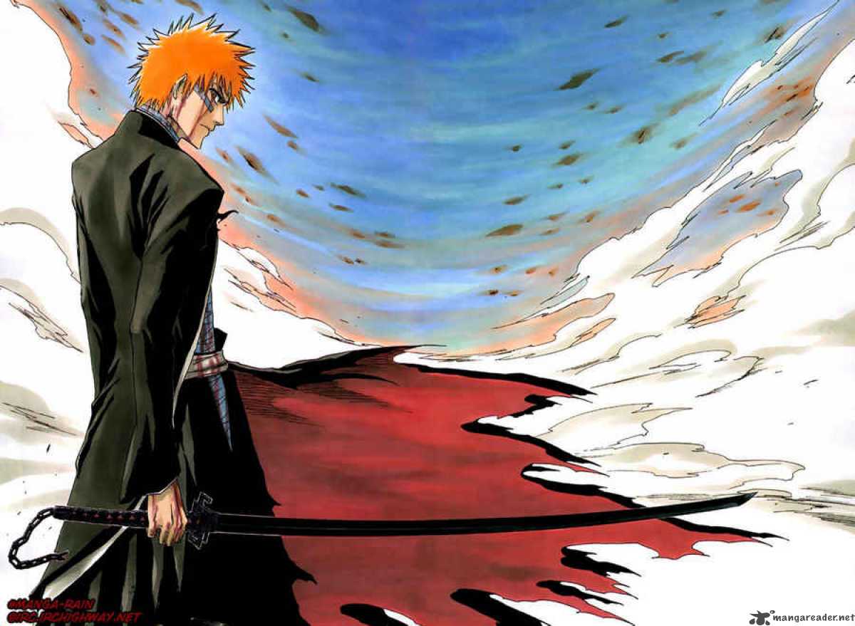 Bleach 162 14