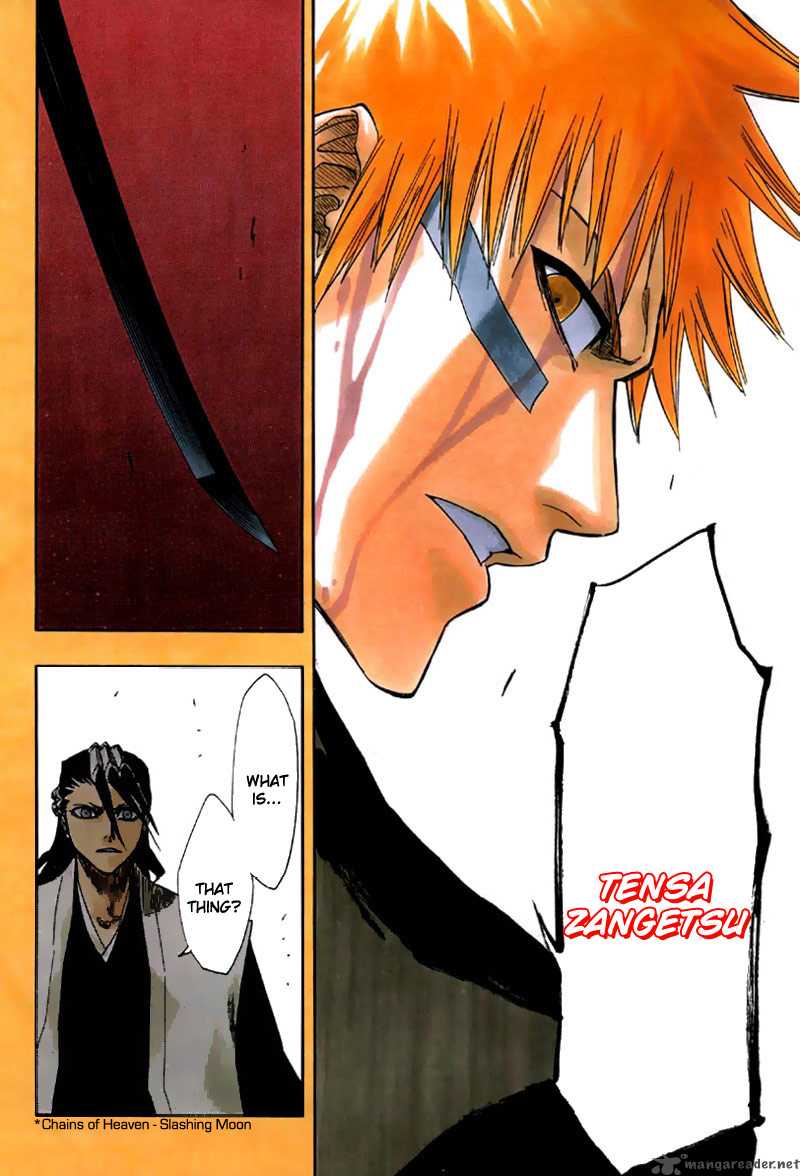 Bleach 162 15