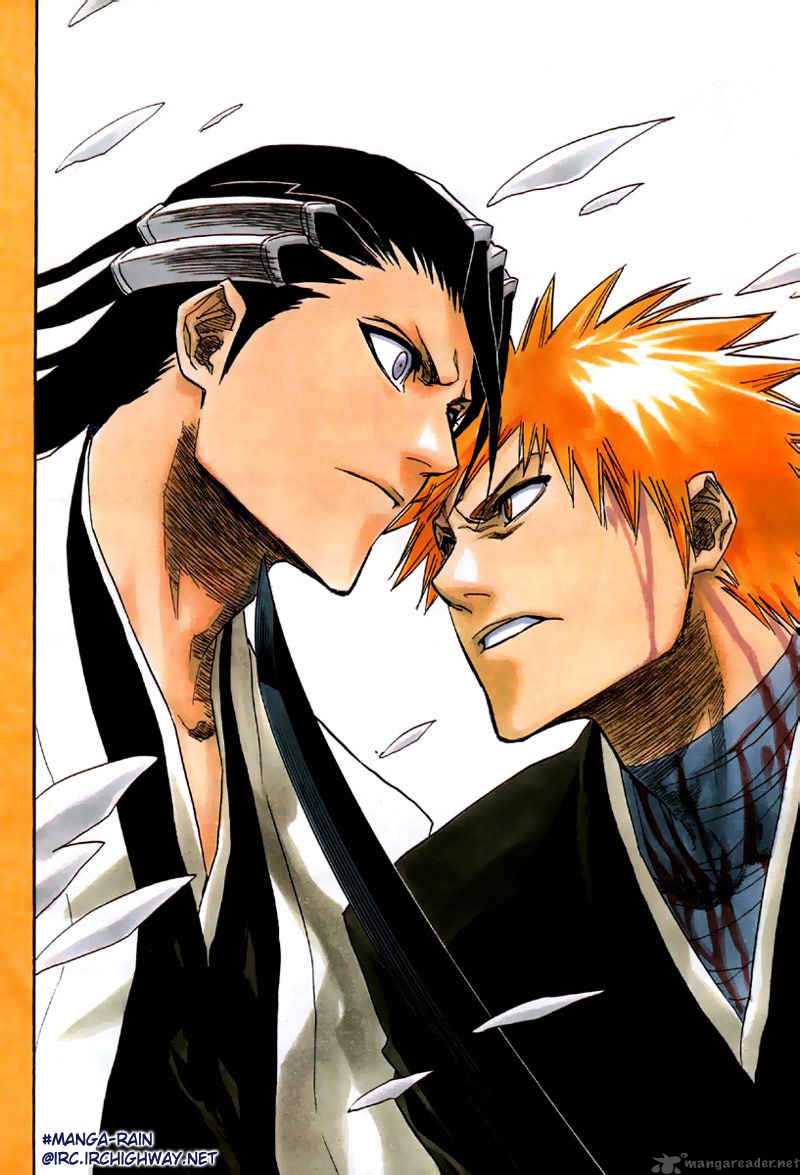 Bleach 162 17