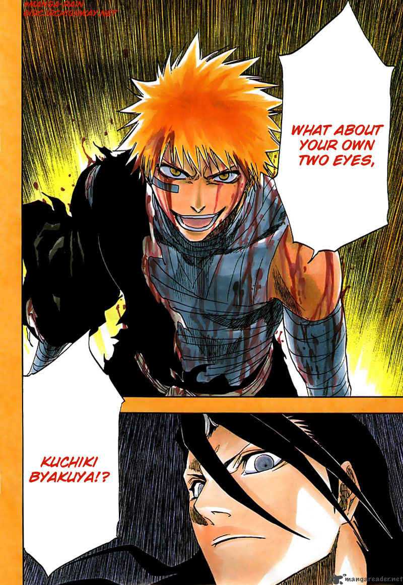 Bleach 162 4