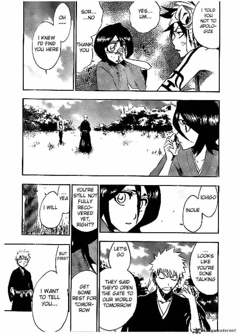 Bleach 181 14