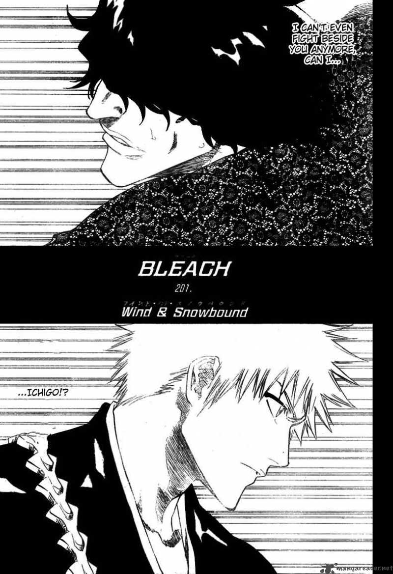 Bleach 201 8