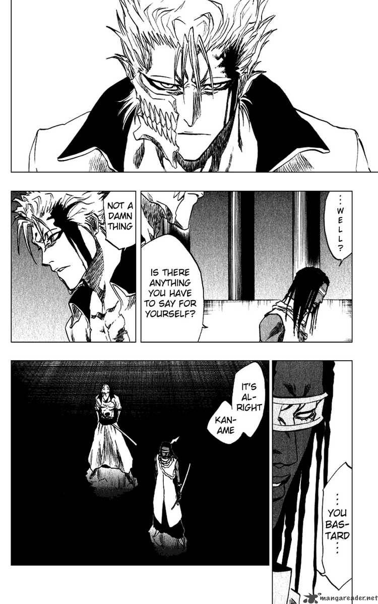 Bleach 213 10