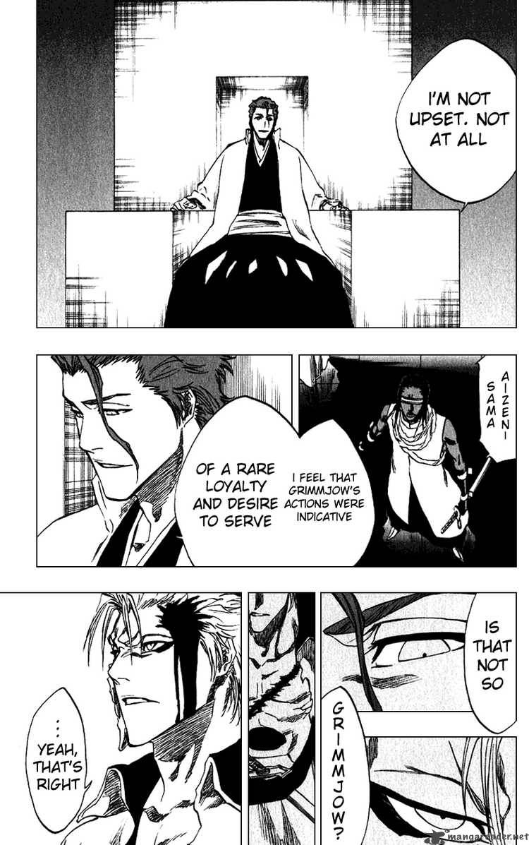 Bleach 213 11