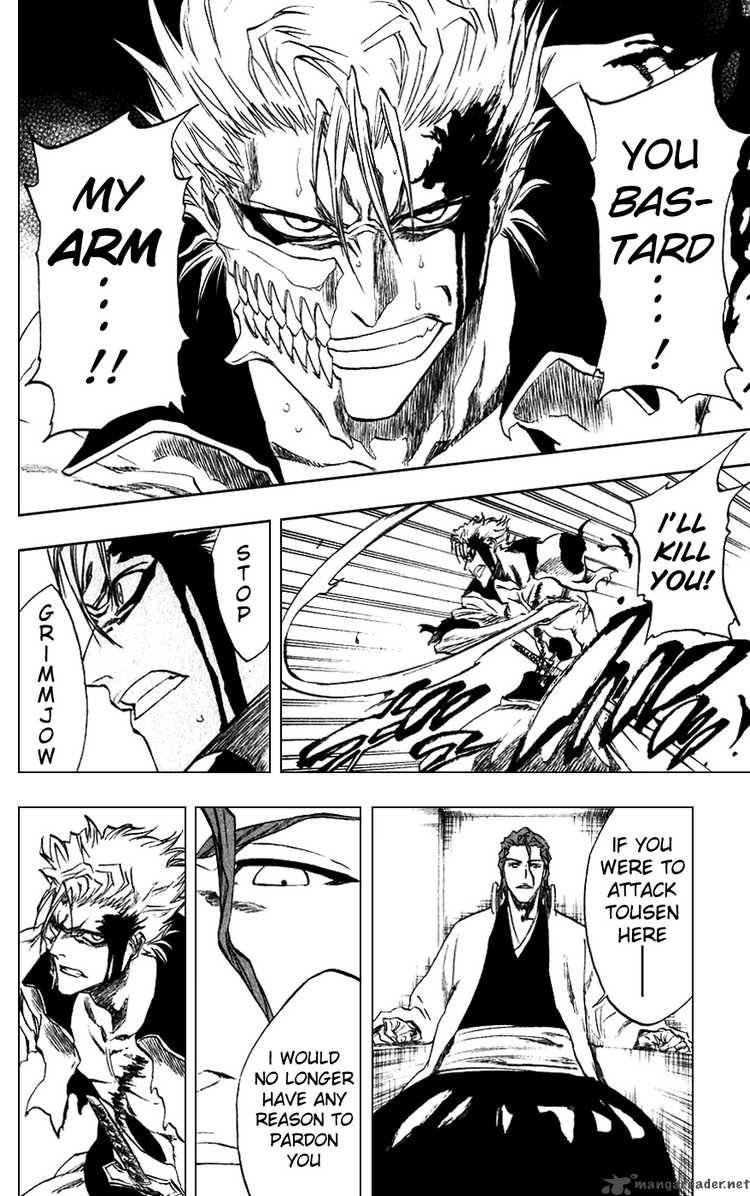 Bleach 213 16