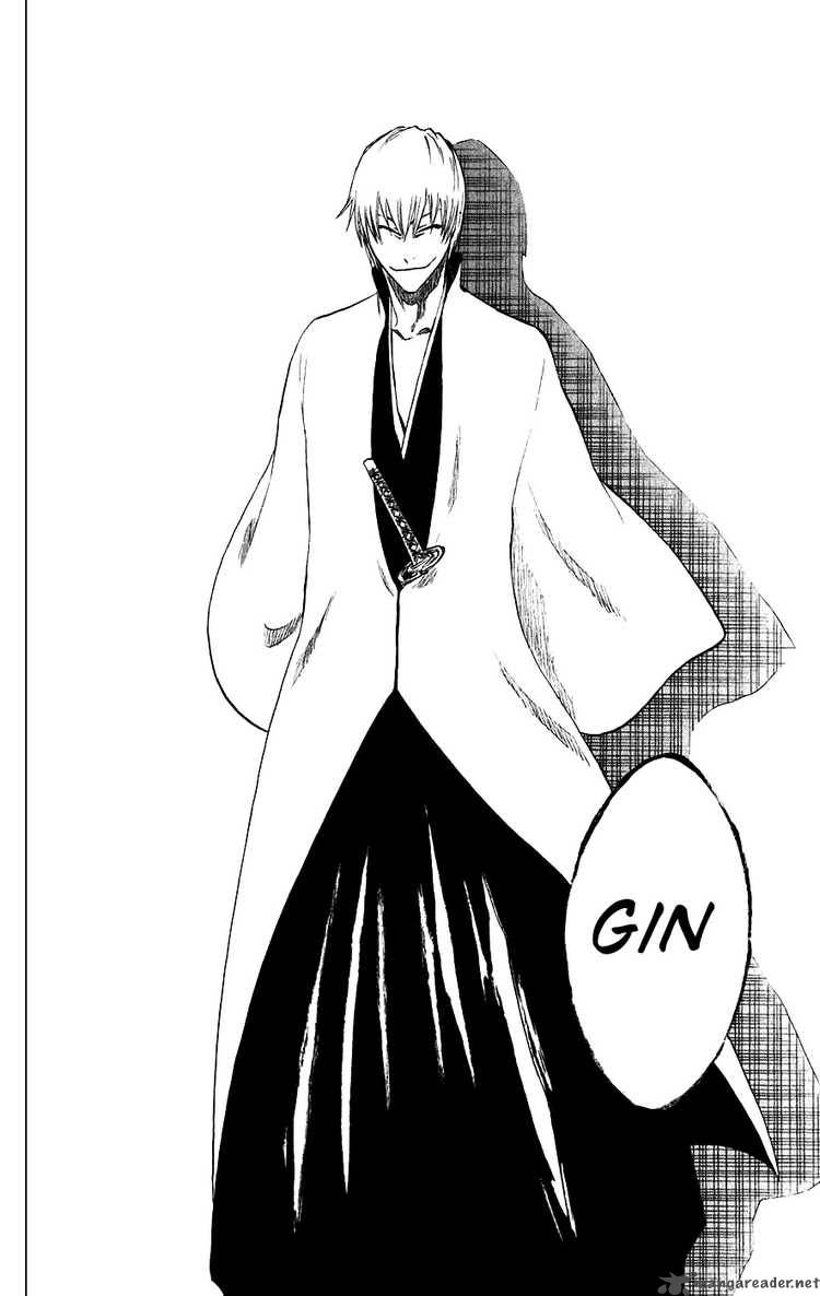 Bleach 213 18