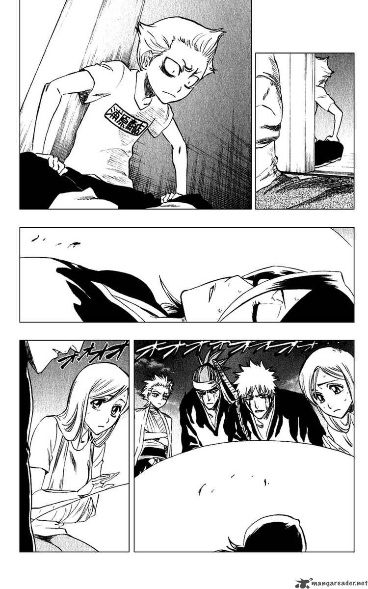 Bleach 213 7