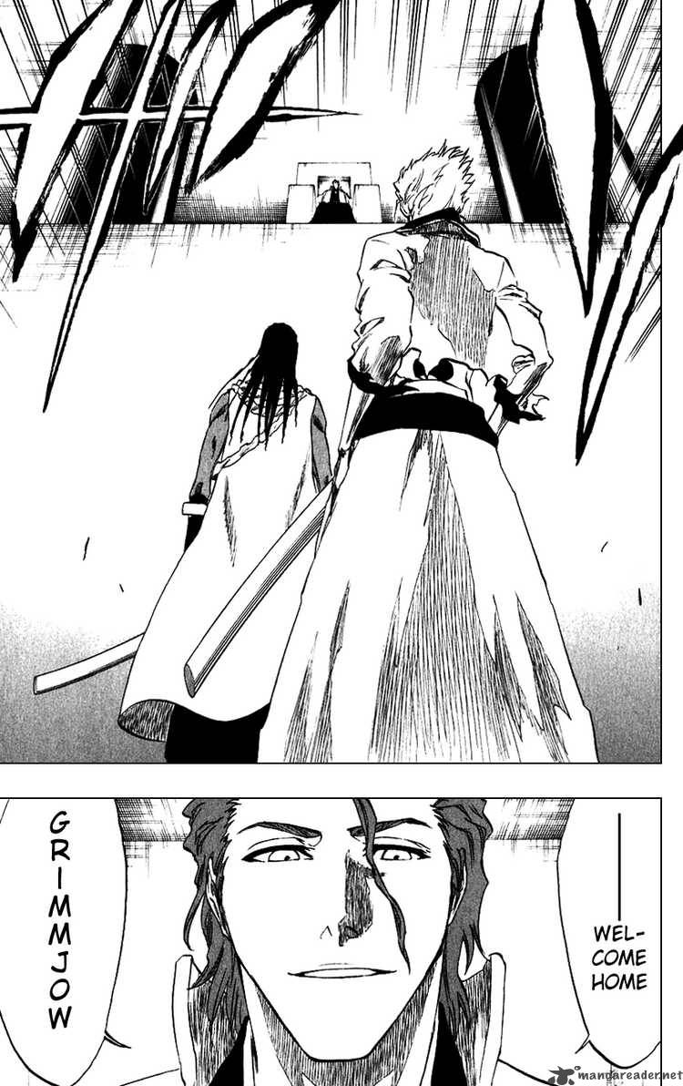 Bleach 213 9