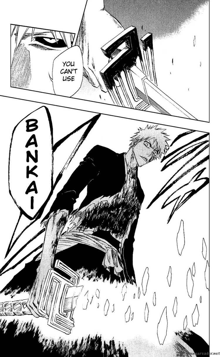 Bleach 219 17