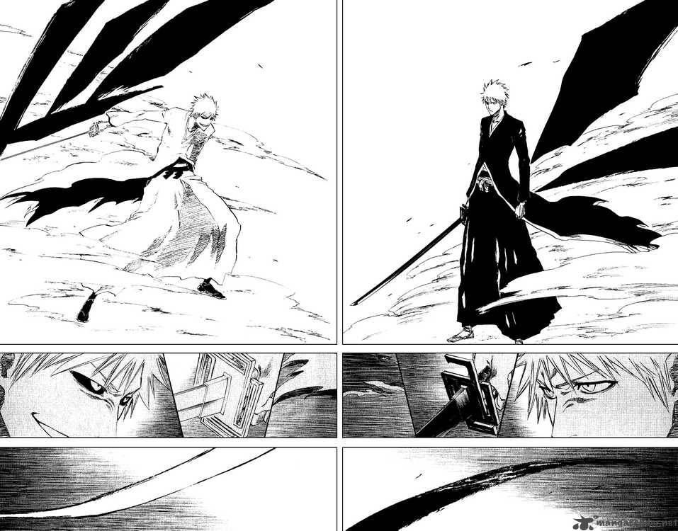 Bleach 219 5