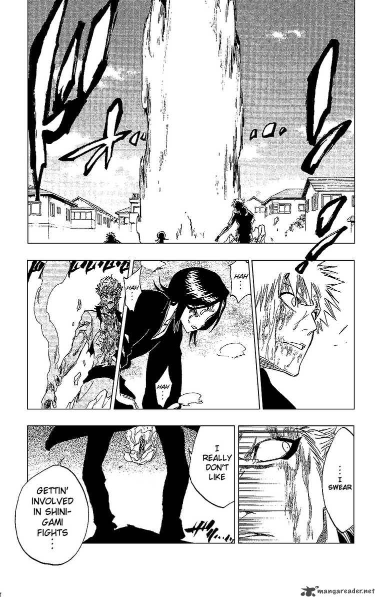 Bleach 236 3