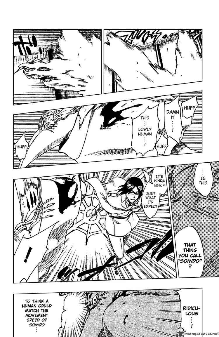 Bleach 243 15