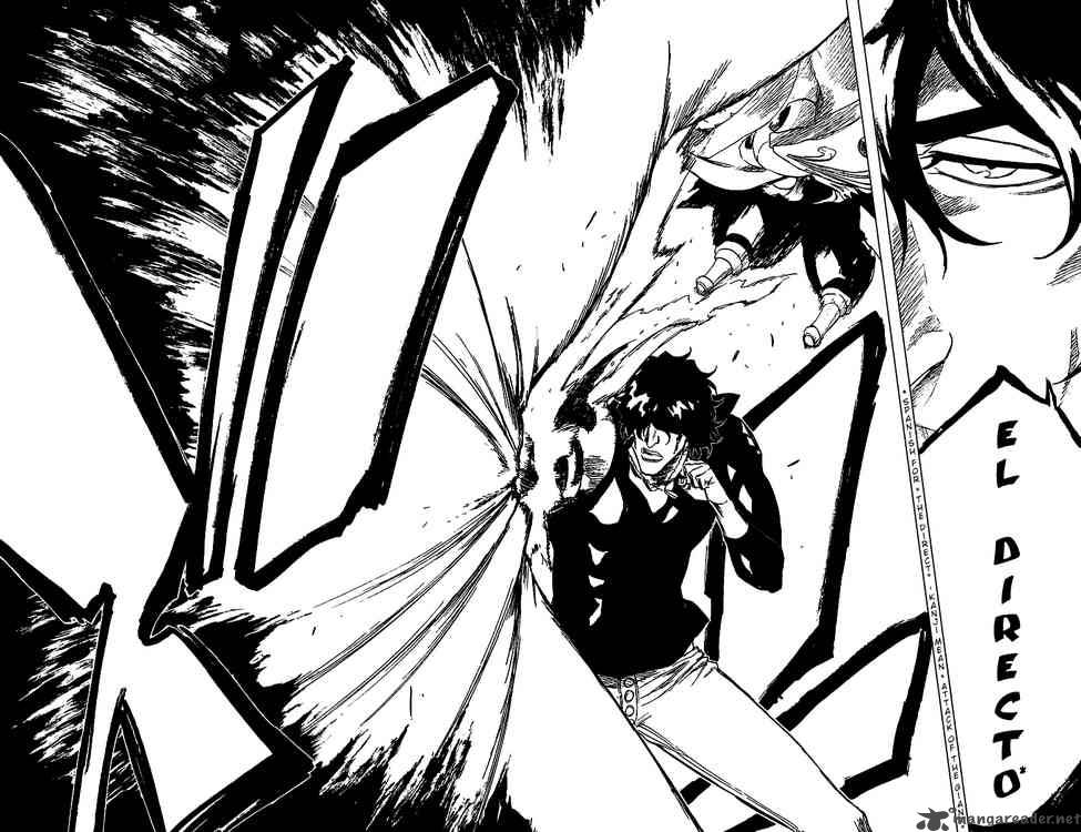 Bleach 243 23