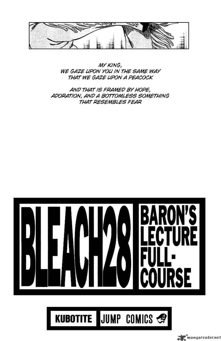 Bleach 243 3