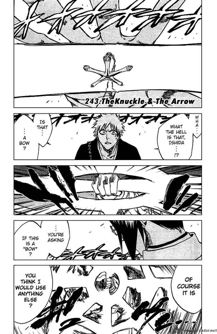 Bleach 243 6