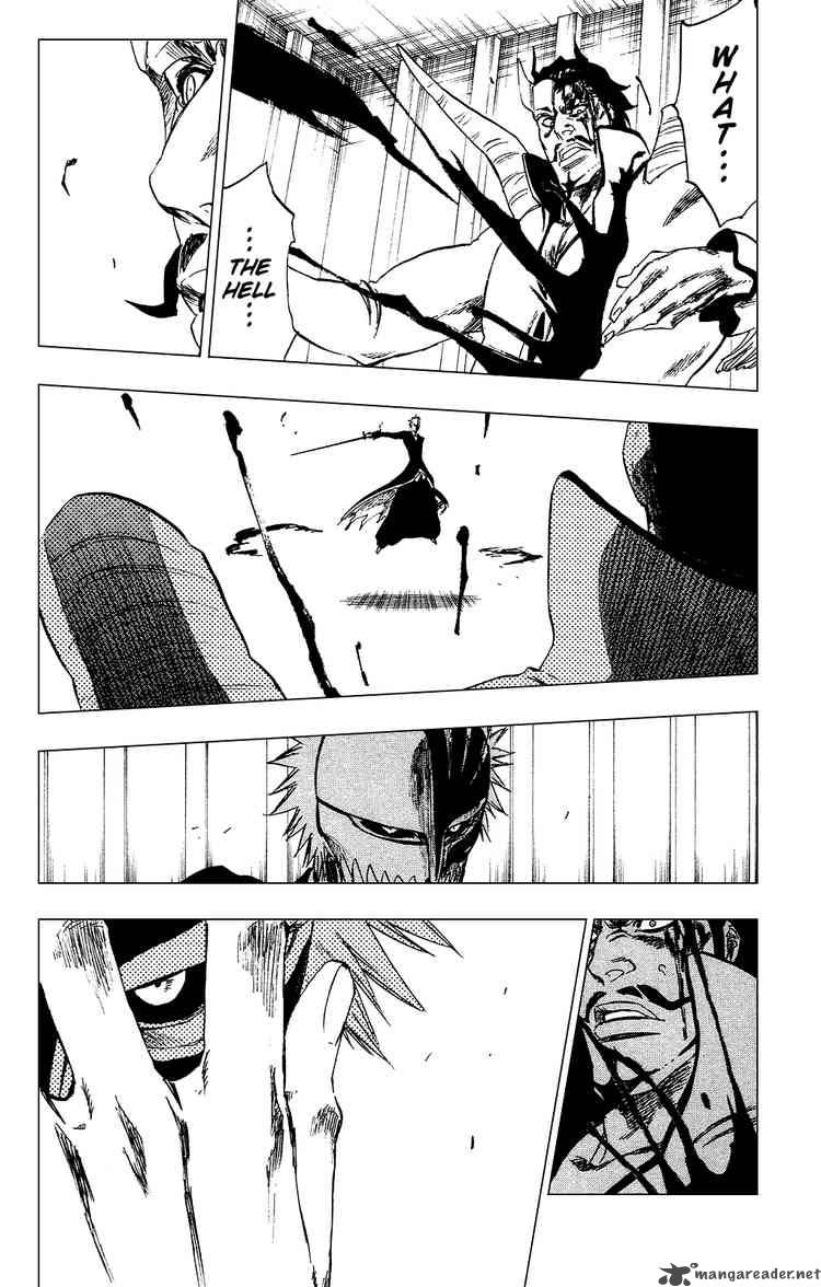 Bleach 253 17