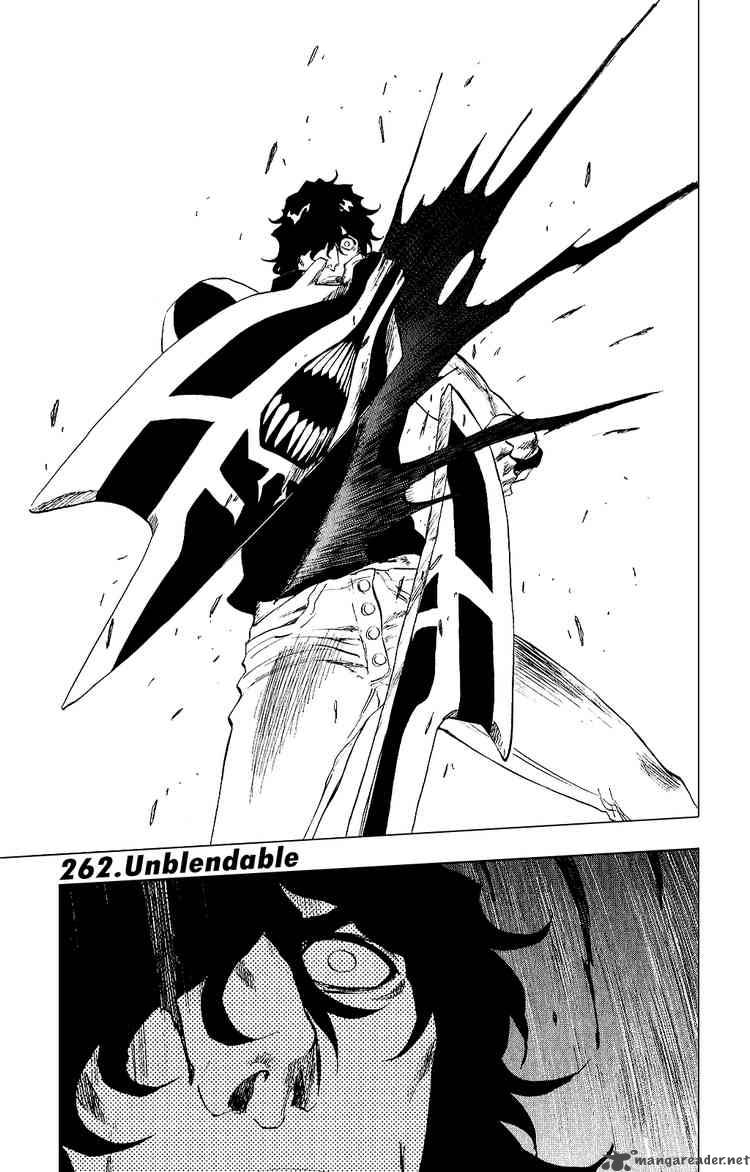 Bleach 262 1