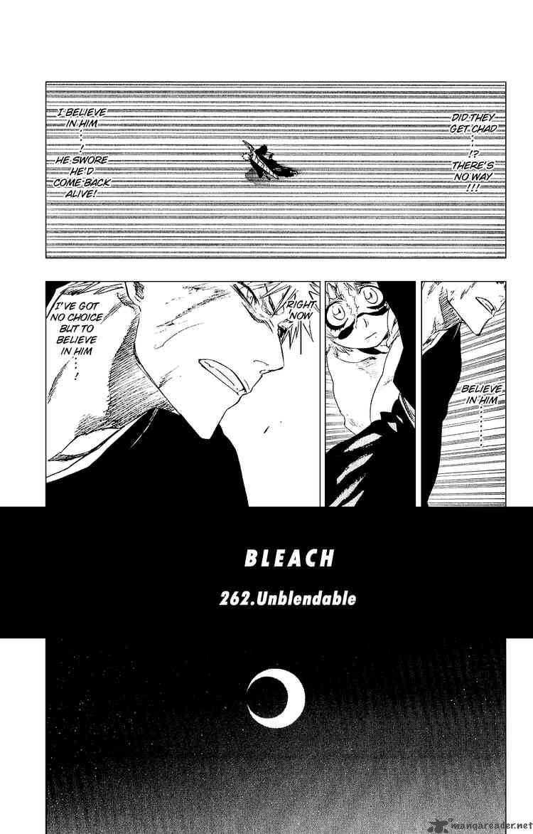 Bleach 262 5