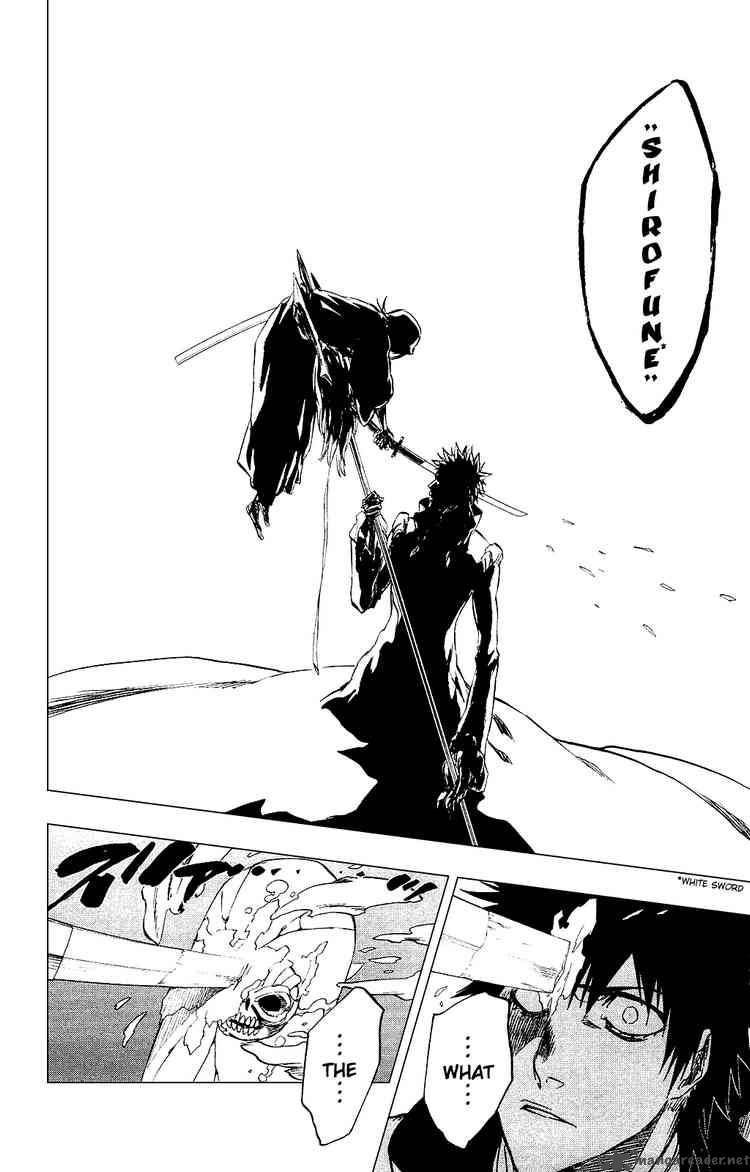 Bleach 268 18