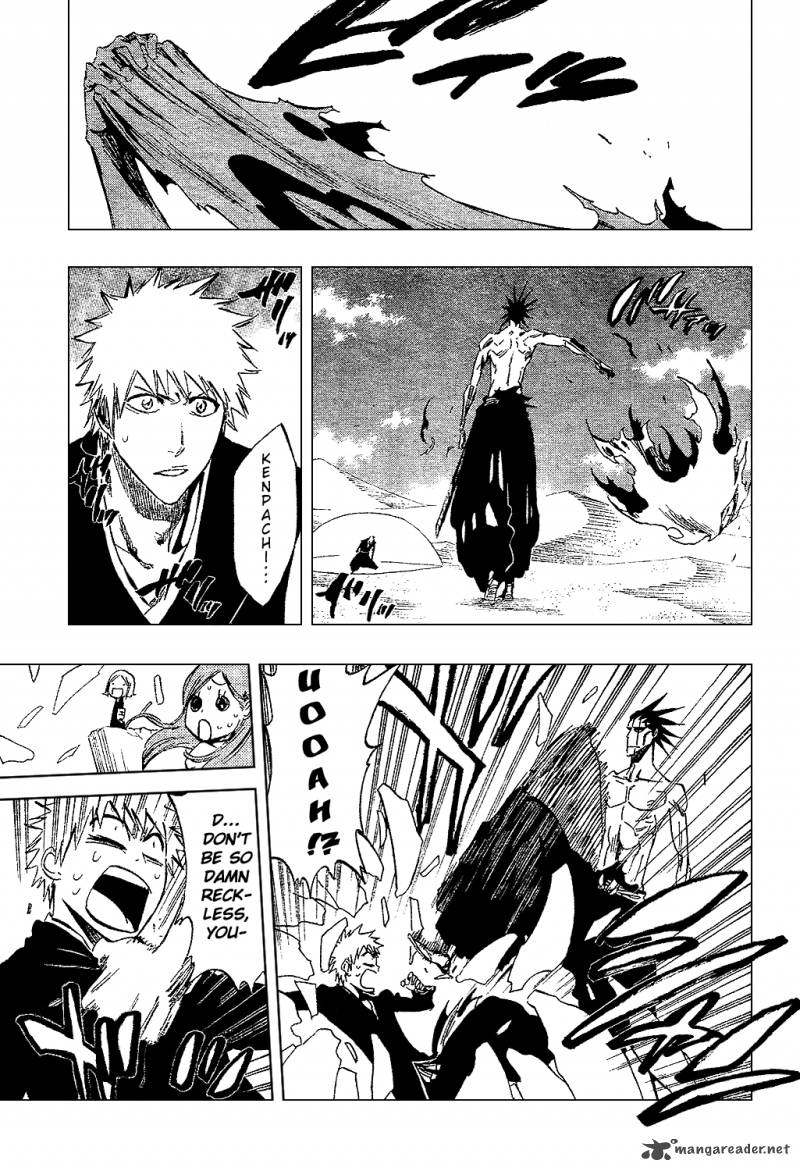 Bleach 313 13